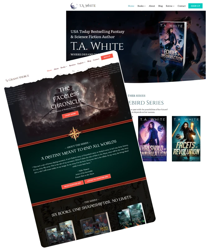 Fantasy and Science Fiction Author Website Design 2 Fantasy Landing Page The hidden problem graphic
