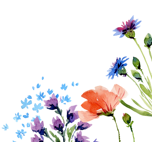 Rocket Expansion Romance Intro Floral