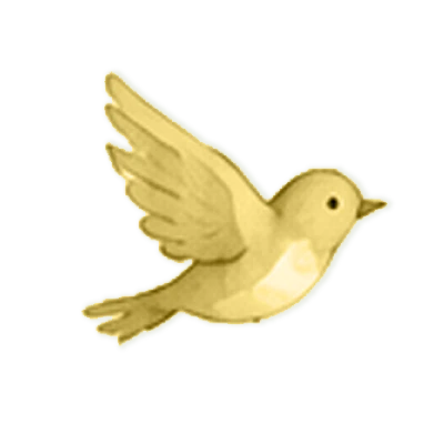 Children's Author Website Design 24 Rocket Childrens Author Page bird
