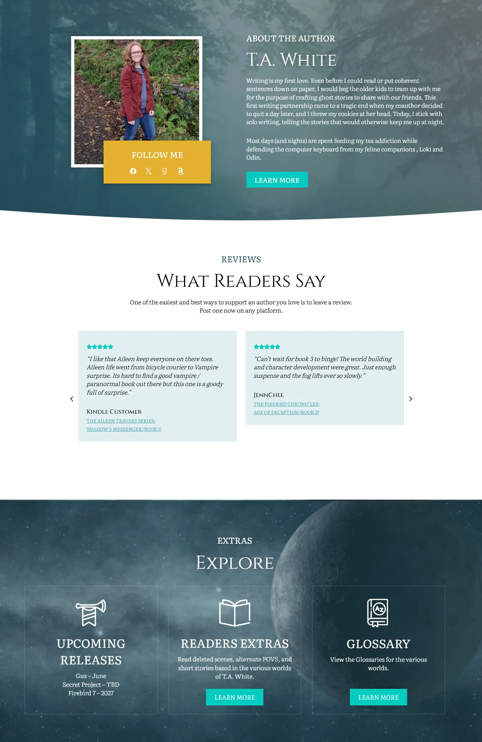 Fantasy & Sci Fi Author Website: T.A White 4 Rocket Expansion TA White Case Study Home 3 1