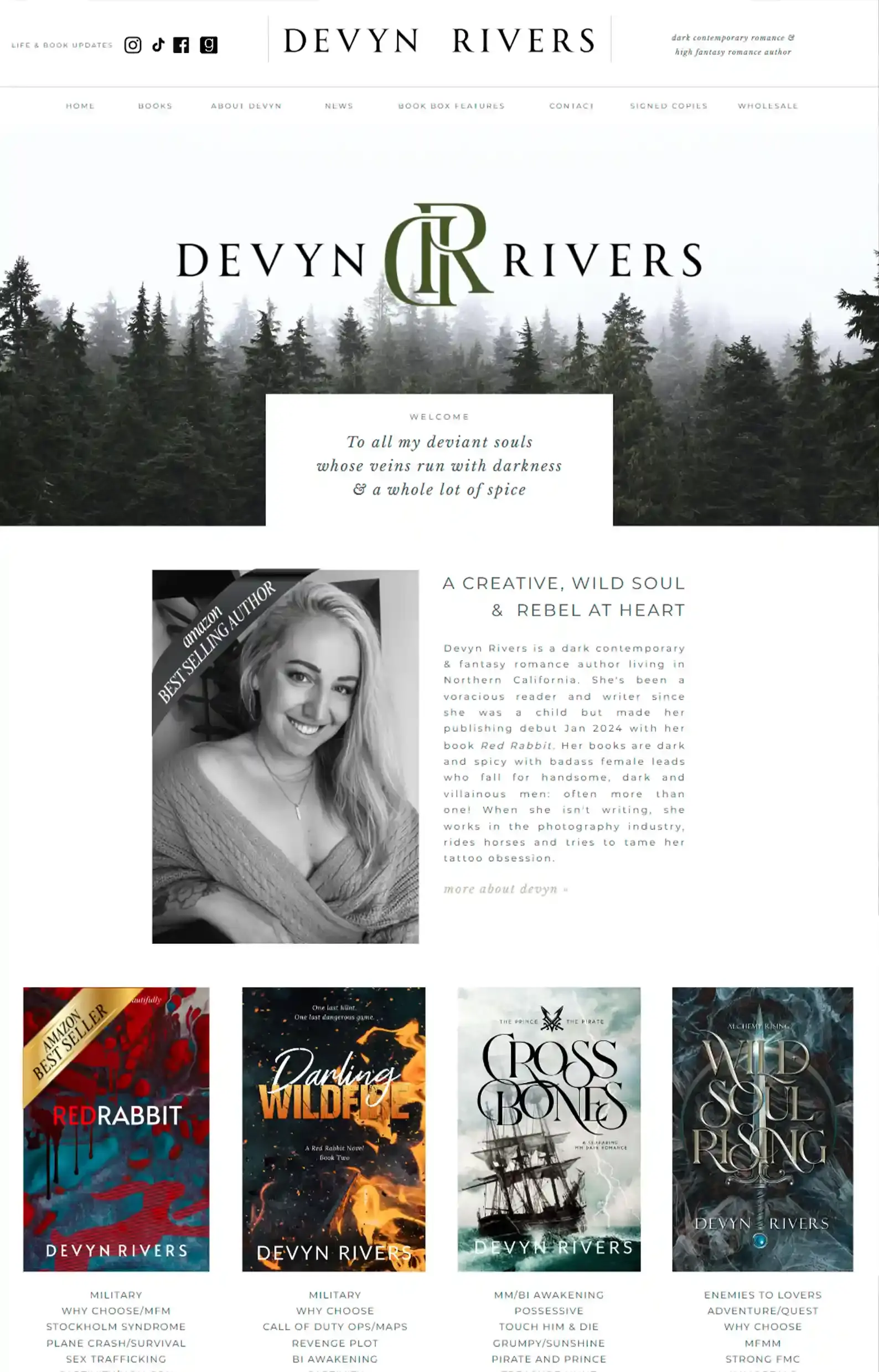 12 Dark Romance Author Websites That Are Sinfully Good 19 Dark Romance Author Websites Devyn Rivers