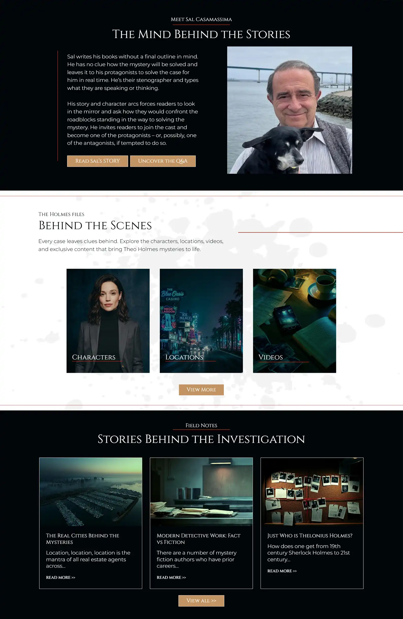 Murder Mystery Author Website: Sal Casamassima 4 Rocket Expansion Case Studies Sal Casamassima Home 3
